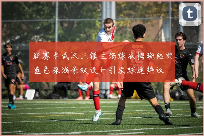 新赛季武汉三镇主场球衣揭晓经典蓝色深浅条纹设计引发球迷热议